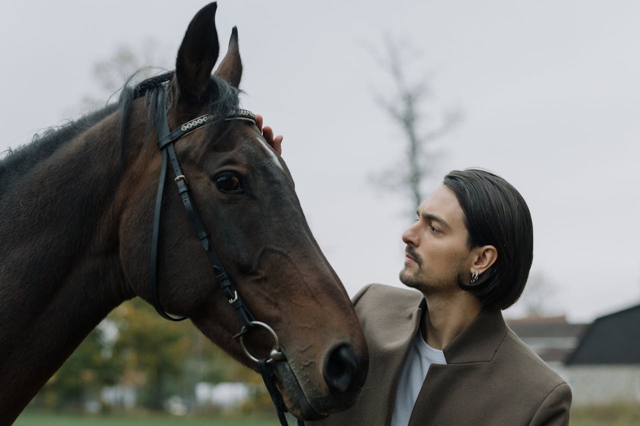 A man gently pats a horse in a serene outdoor setting, showcasing a bond between human and animal.