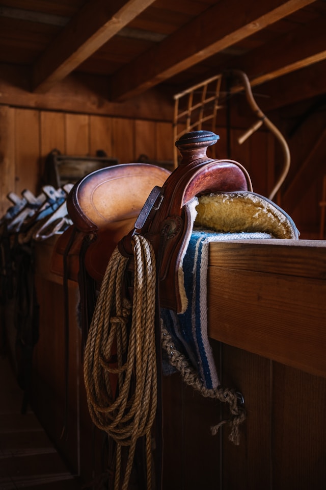 Horse Saddle